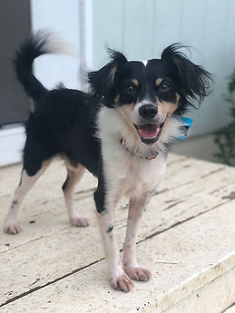 Max
