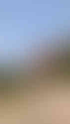 Nous 3 vue sur les Météores