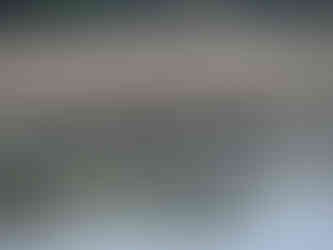 Safari Wilpattu : phacochères