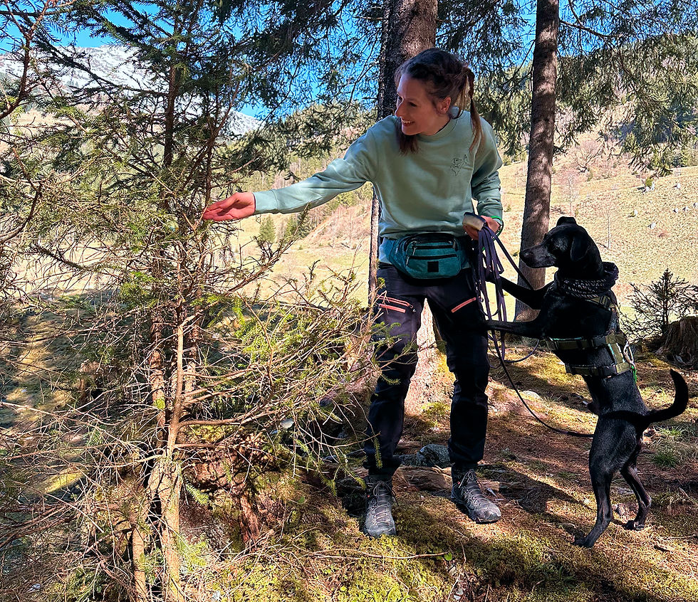 Ein Mensch und ein Hund an einem Busch