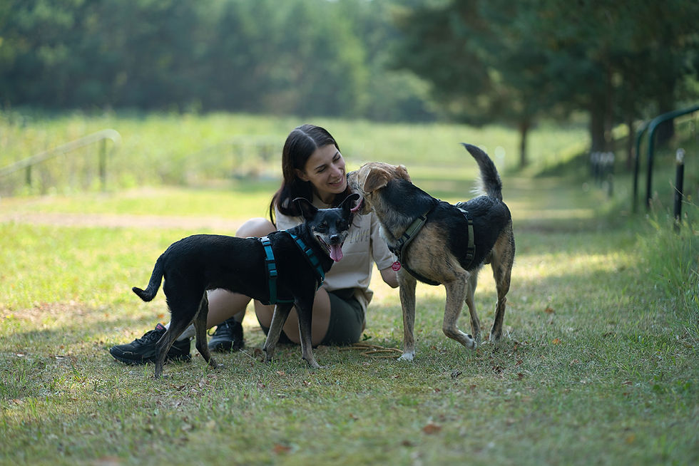 Die Gründerin Vanessa Hentschel sitzt mit ihren Hunden auf einer Wiese und lächelt sie an, während ihre Hunde sich streicheln lassen.