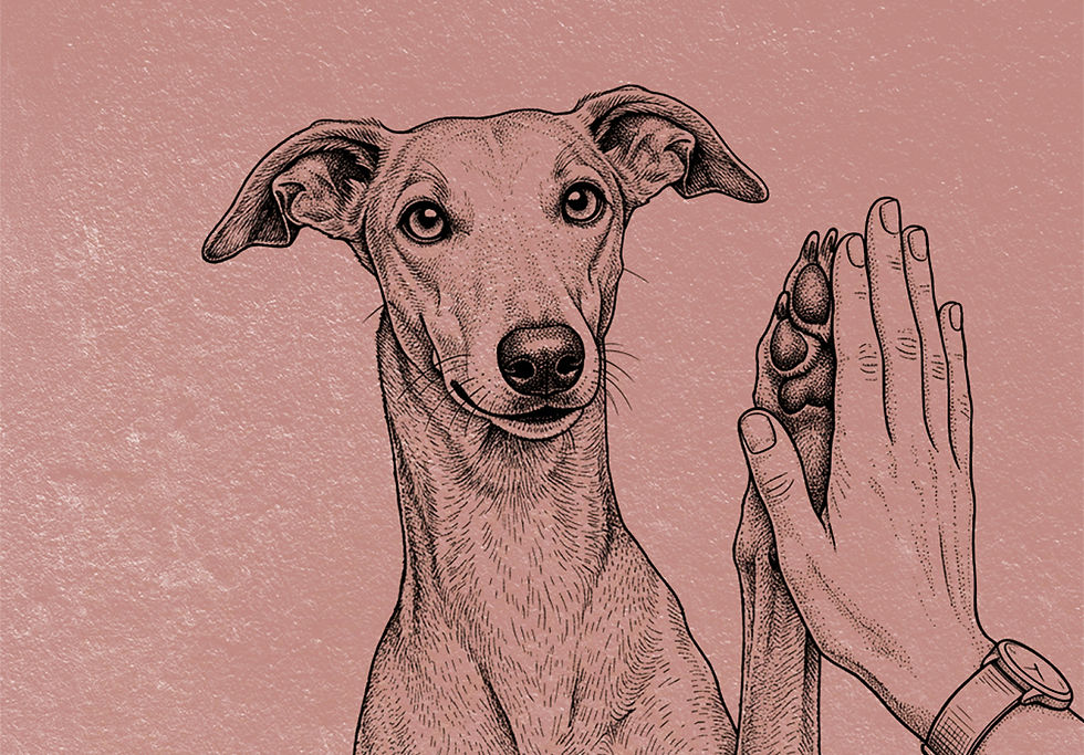 Ein Hund der einer Hand High Five gibt