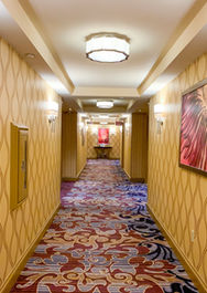 20190913_Las-Vegas-Bellagio_SHull-21.jpg