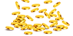 Gold-Coins.png