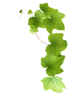 AdobeStock_12345885.png