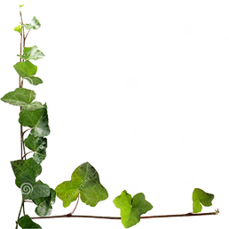 8c06e37e43869a5e25129180af86aa09.png