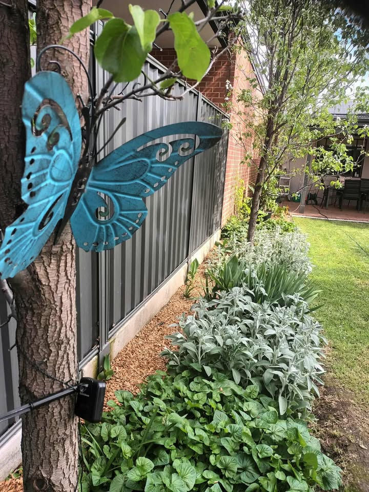 552284526_1210119347541175_3448403791169401162_n