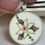 Thumbnail: Salisbury Bone China 'Flannel flowers' round pendant with white flower