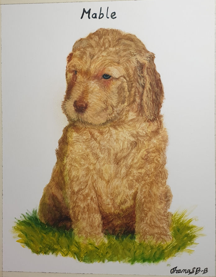 Mabel Watercolour