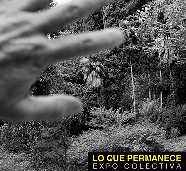 867A542D-CD3A-4D19-B5CB-358F18C03626 copia.jpg