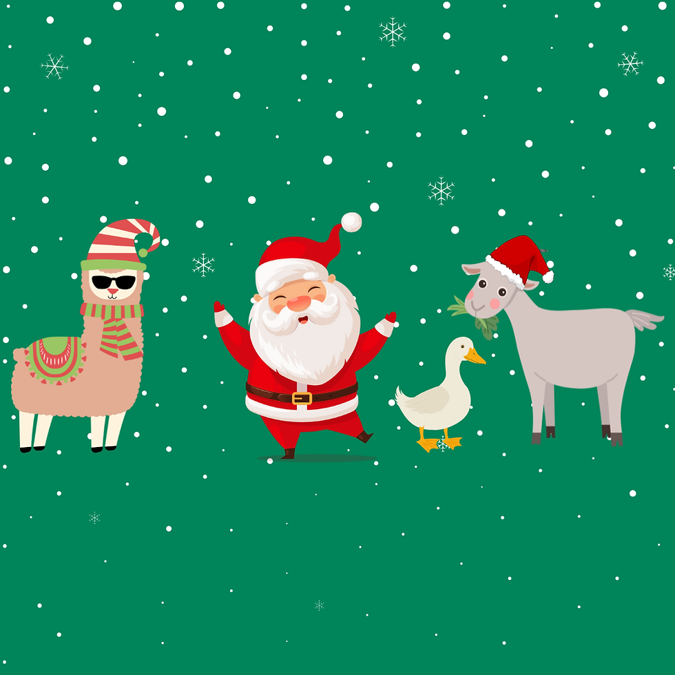 Meet Santa at Kenward: Morning session