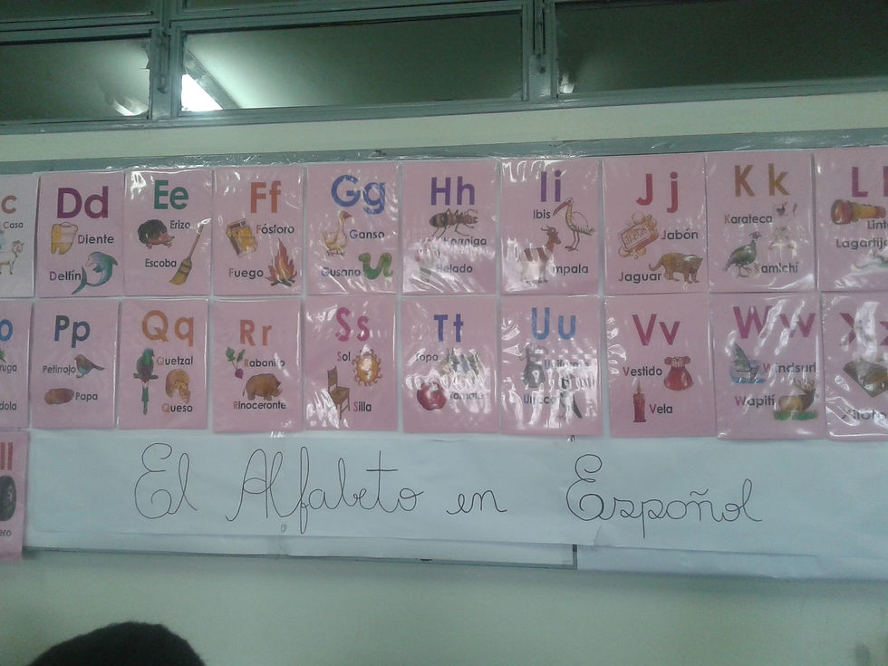 Plantões de Atendimento