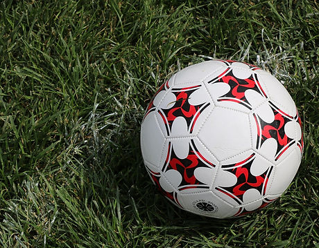 football-8266065_1280.jpg