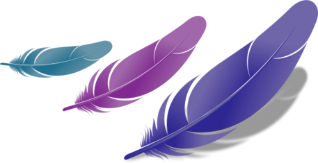 Reiki Master and Teacher