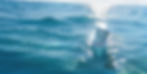 blue toner in the ocean.jpg