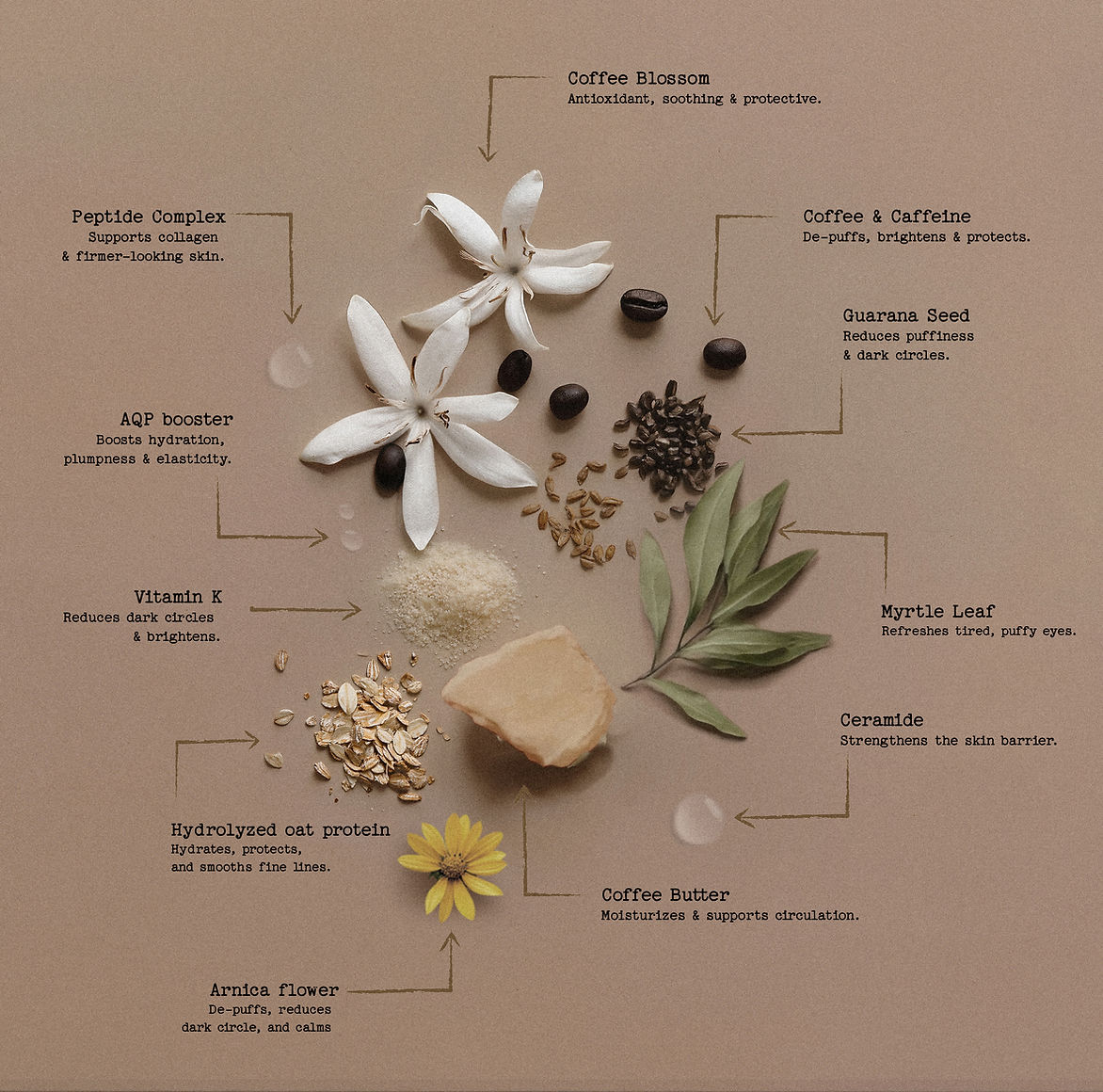 eye cream superstar ingredients.jpg
