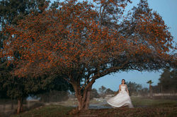 Mariana XV006IMG_2461-Editar