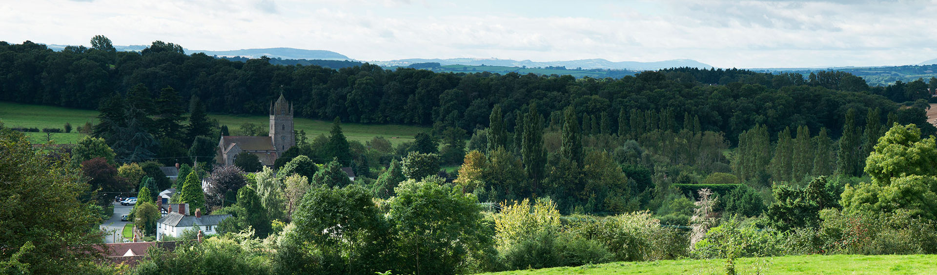 panorama.jpg