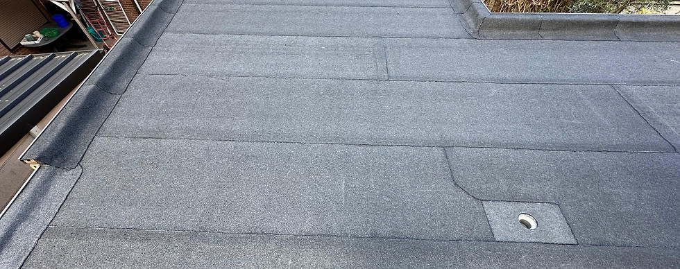 Zdjęcie WhatsApp 2025-02-19 o 18.51.07_3d775d97.jpg