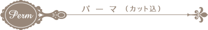Perm パーマ (カット込)