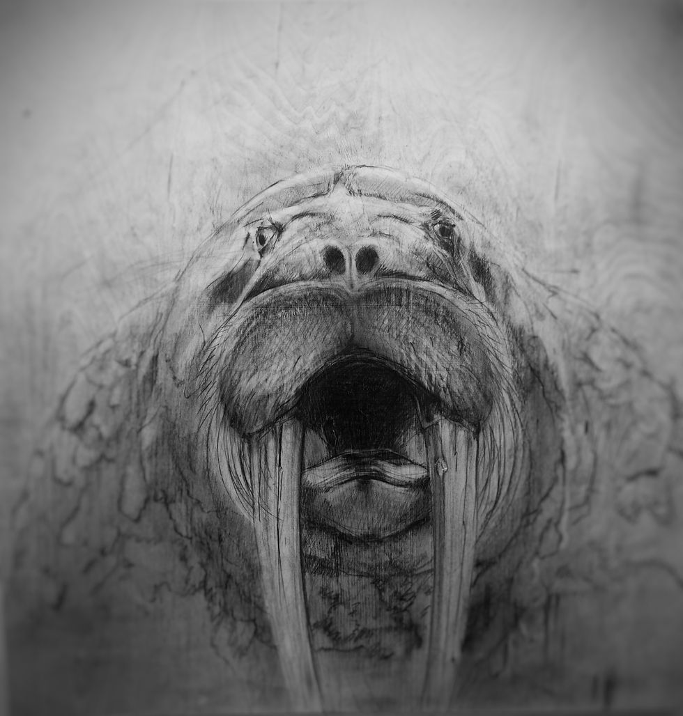 DRAWINGS