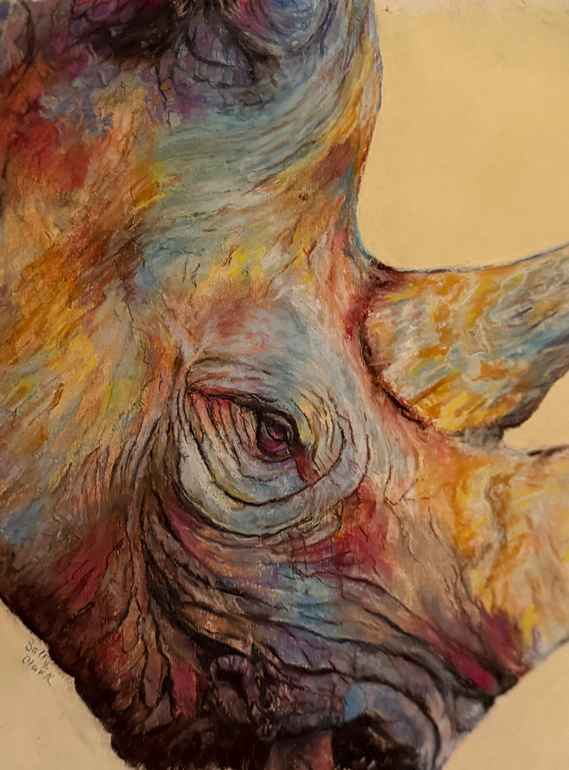 Rhino of Color 8.5W X 11.5H copy.png