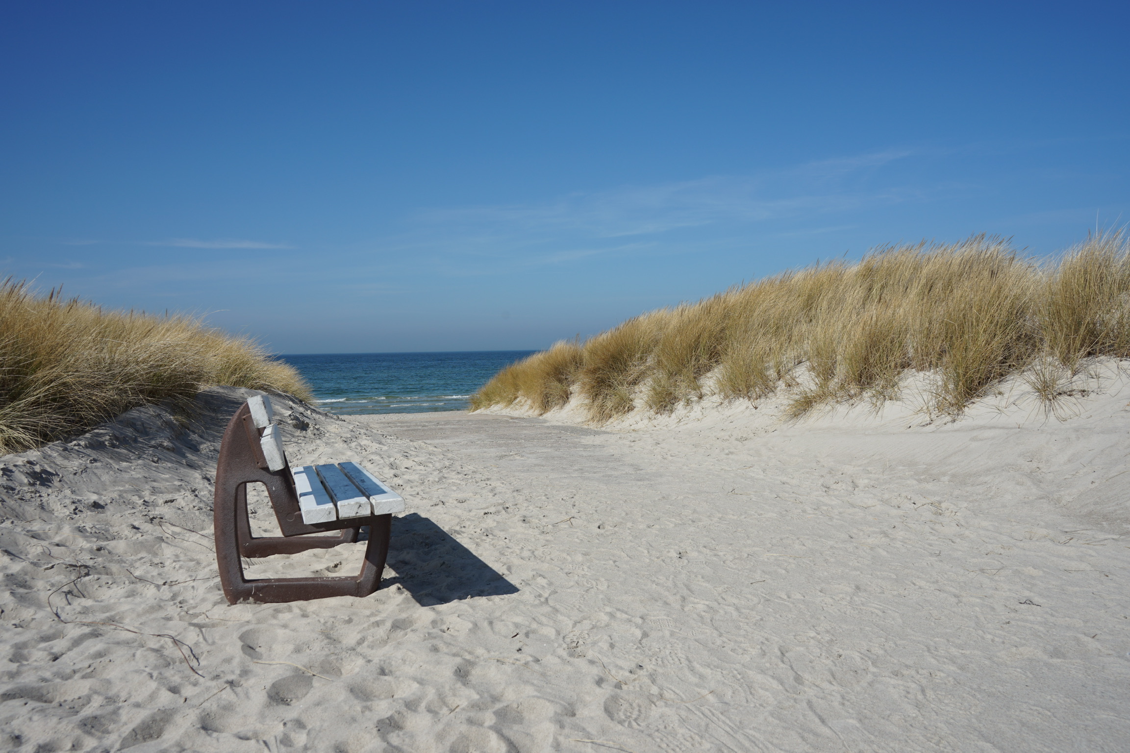 Autorenbild: Kutter Zingst