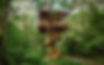 Treeful-Treehouse-in-Okinawa-Japan.jpg
