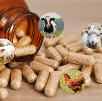 Animal-Free vs. Animal-Derived Ingredients