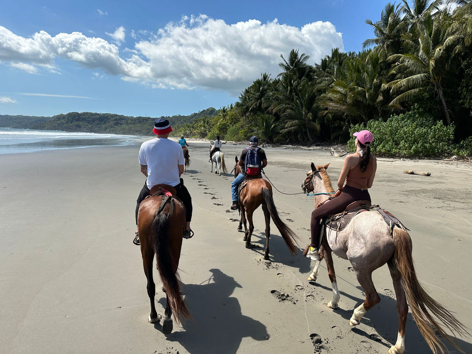 Faites une balade à cheval avec nos chevaux privés dans notre réserve