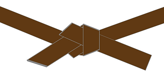 brown belt2.png