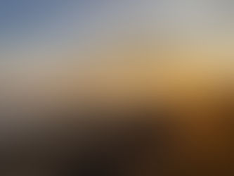 Real Progress on Illegal Migration, But More Work Ahead