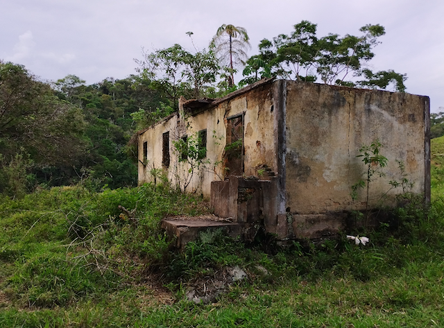 Ruins of Casa da Marli