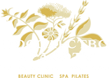 Лого Посольство белые буквы-01.png