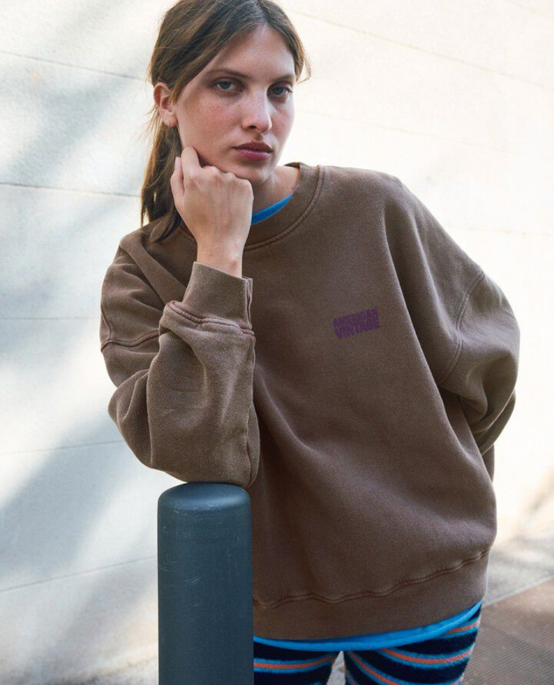 American Vintage Brown Plizzy Sweatshirt