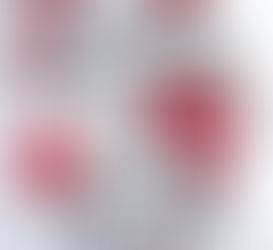 The Memory Police by Yoko Ogawa