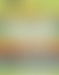 The Godzone Dictionary of Favourite New Zealand Words and Phrases  by Max Cryer