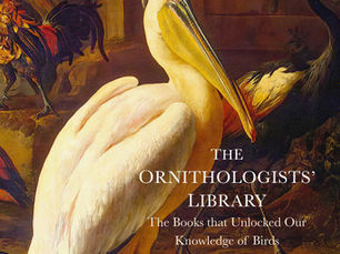 The Ornithologists’ Library by Charlie Bingham 