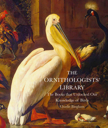 The Ornithologists’ Library by Charlie Bingham