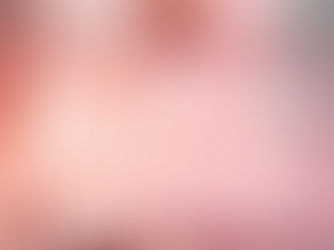 The Tiger Catcher by Paullina Simons