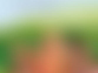 Lulu La Ru: Step-Mum Shambles by Gina Bartlett