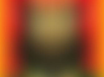 The First Friend by Malcolm Knox