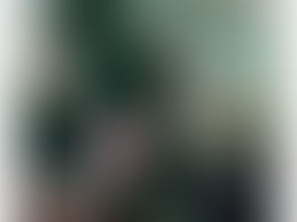 Rooms by Jane Usher and John Walsh