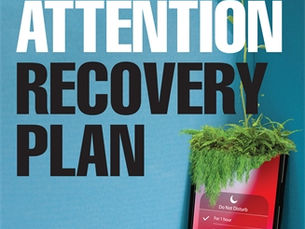 The Attention Plan Recovery Plan by David Gillespie