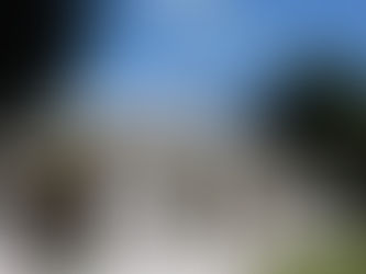 The Spirit of a Place: a New History of the Elms, Te Papa Tauranga by Sarah Ell, with photography by Amanda Aitken