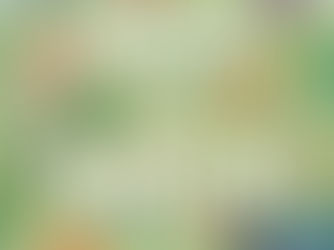 Hatch and Match by Ruth Paul