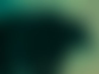 Bear by Kiri Lightfoot