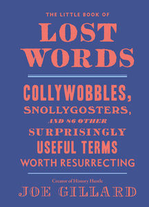 The Little Book Of Lost Words By Joe Gillard - 