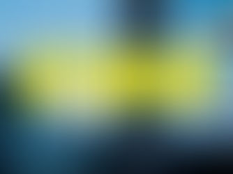 Bitterblue by Sam Martin