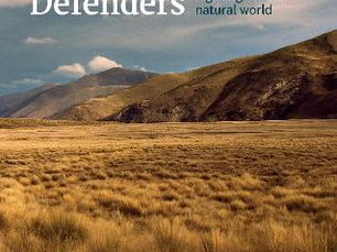 Environmental Defenders: Fighting for our natural world by Raewyn Peart
